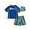 Royal/Ombre Turtle, variant on Boys' Rash Guard Set - UPF 50+ Rash Guard Swim Shirt, Bathing Suit, Bucket Hat - Swimwear (2T-7)