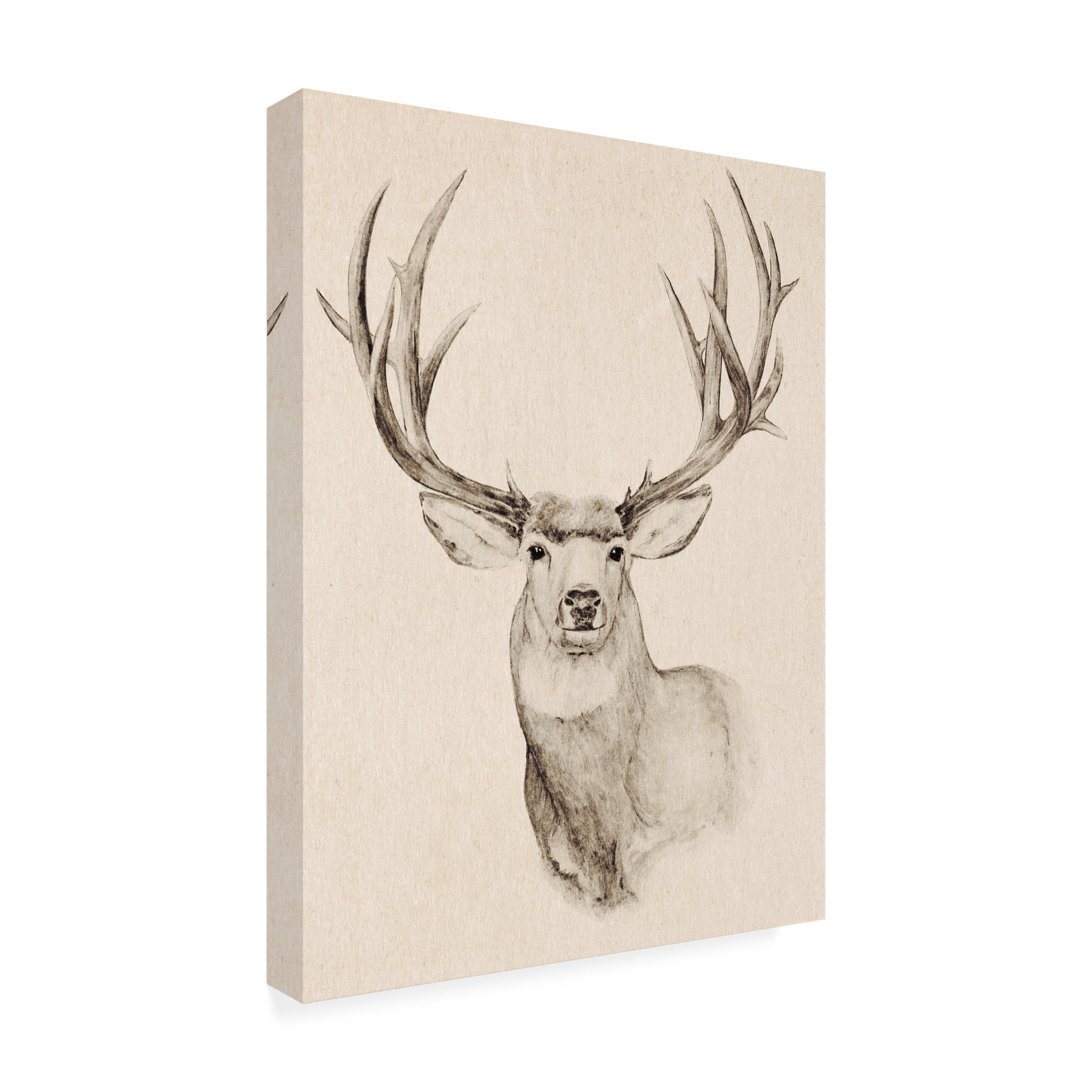Annie Warren 'Natural Buck II' Canvas Art