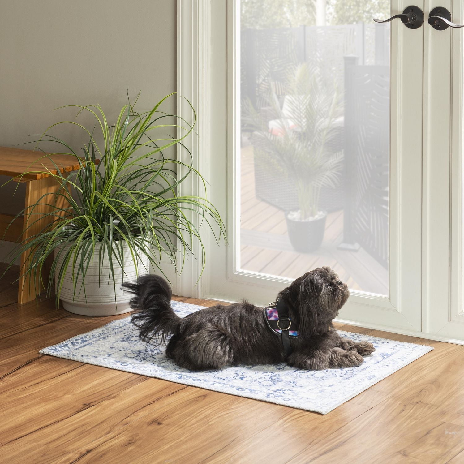 Harris 2' x 3' Washable Accent Rug, Grey and Ivory