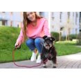 thumbnail image 2 of LAICAIW Rope Dog Leash 5 FT with Comfortable Padded Handle, Highly Reflective Threads Strong Dog Leash for Puppy and Small Dogs, 5/16 inch, Hotpink, 2 of 7