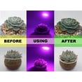 thumbnail image 5 of Led Lámpara De Crecimiento De Plantas De Flores Hidropónicas Para Jardín De Invernaderos, 5 of 5