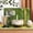 White, variant on Gaderth Premium Matcha Whisk Set with Ceramic Bowl, 7-Piece Matcha Kit Includes Handcrafted Bamboo Chasen, Stainless Steel Sifter, Scoop & Holder, Perfect Matcha Set Kit for Beginners & Enthusiasts