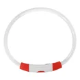 thumbnail image 1 of Collar Led Para Perro Recargable Con Flash Usb, Collar Para, 1 of 8