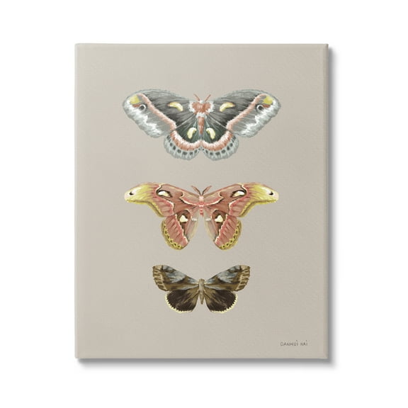 Stupell Industries Vintage Moth Specimens Animals & Insects Painting Gallery Wrapped Canvas Print Wall Art, 16 x 20