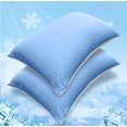 thumbnail image 1 of Canadian Linen Protège-Oreiller Imperméable Rafraîchissant avec Fermeture Éclair, 20"x30 Pouces Grand Lit, Lot de 2, Doux, Absorbant et Respirant, Housse de Coussin Anti-Punaises de Lit, 1 of 9