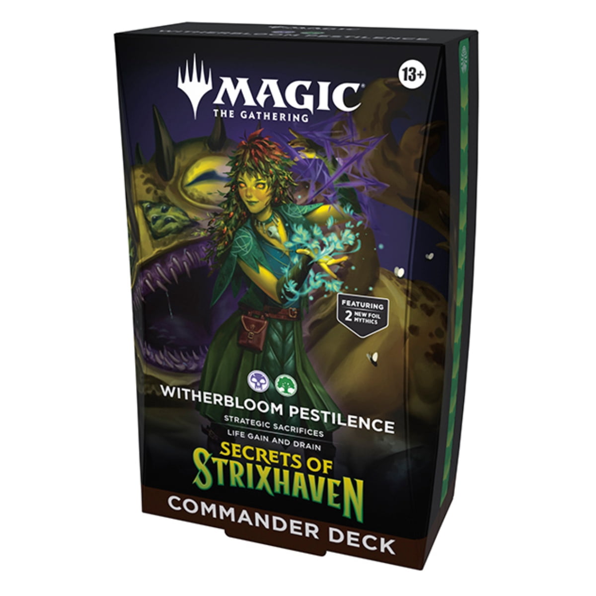 Magic the Gathering Secrets of Strixhaven 5-Deck Commander Case Cards