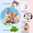 thumbnail image 3 of Bolas de hierba gatera CHAO paquete de 3 productos comestibles juguetes interactivos giratorios Para gatos, 3 of 5