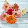 thumbnail image 7 of Viworld Artificial Daisy Artificial Flowers Gerbera Daisy Fake Gerbera Daisies Fake Flowers Bouquet 15" for Wedding Bridal Bouquet Party Home Kitchen (White, Pink, Yellow, Orange, Rose, Coral,18 Pcs), 7 of 7