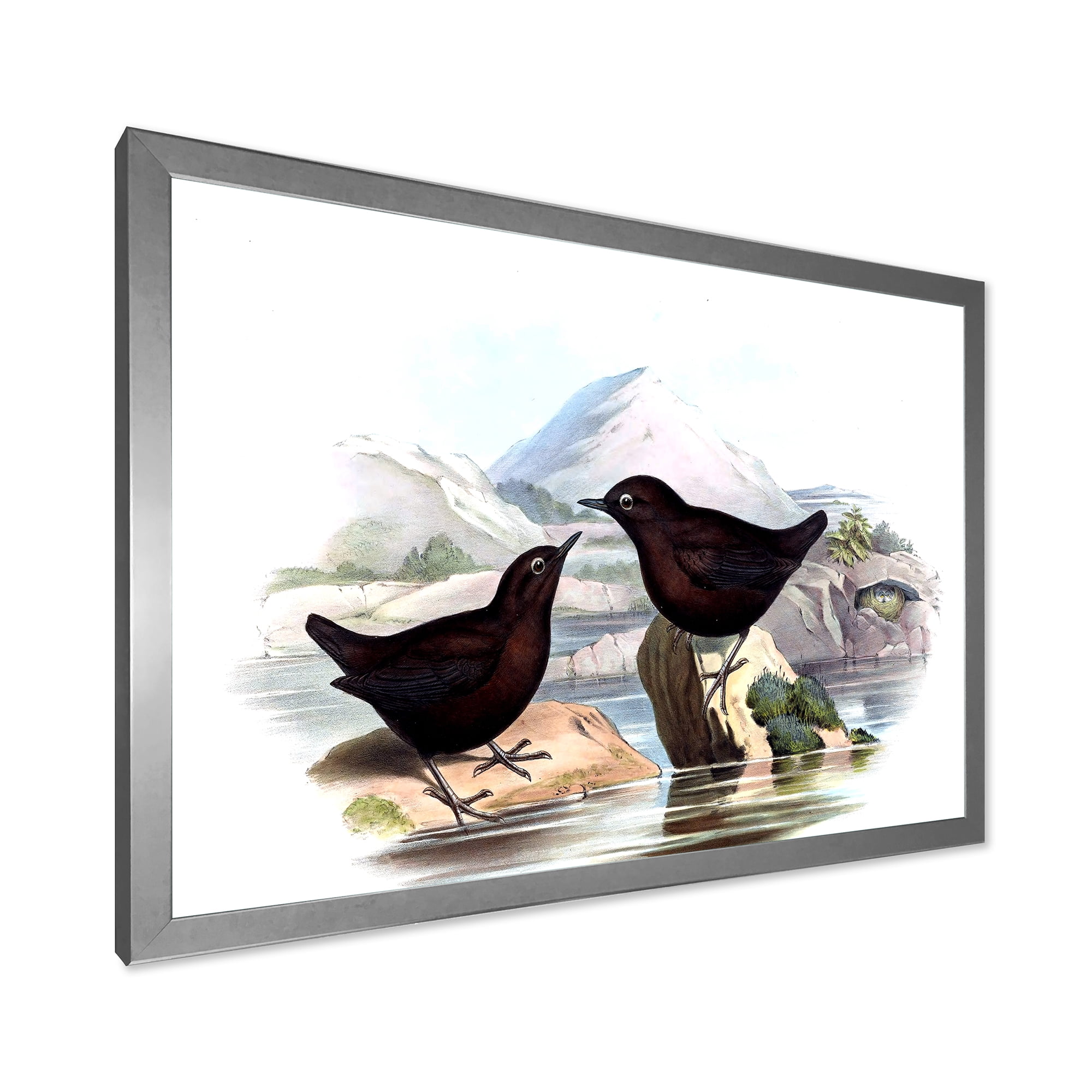 Designart 'Vintage Countryside Two Birds' Farmhouse Framed Art Print
