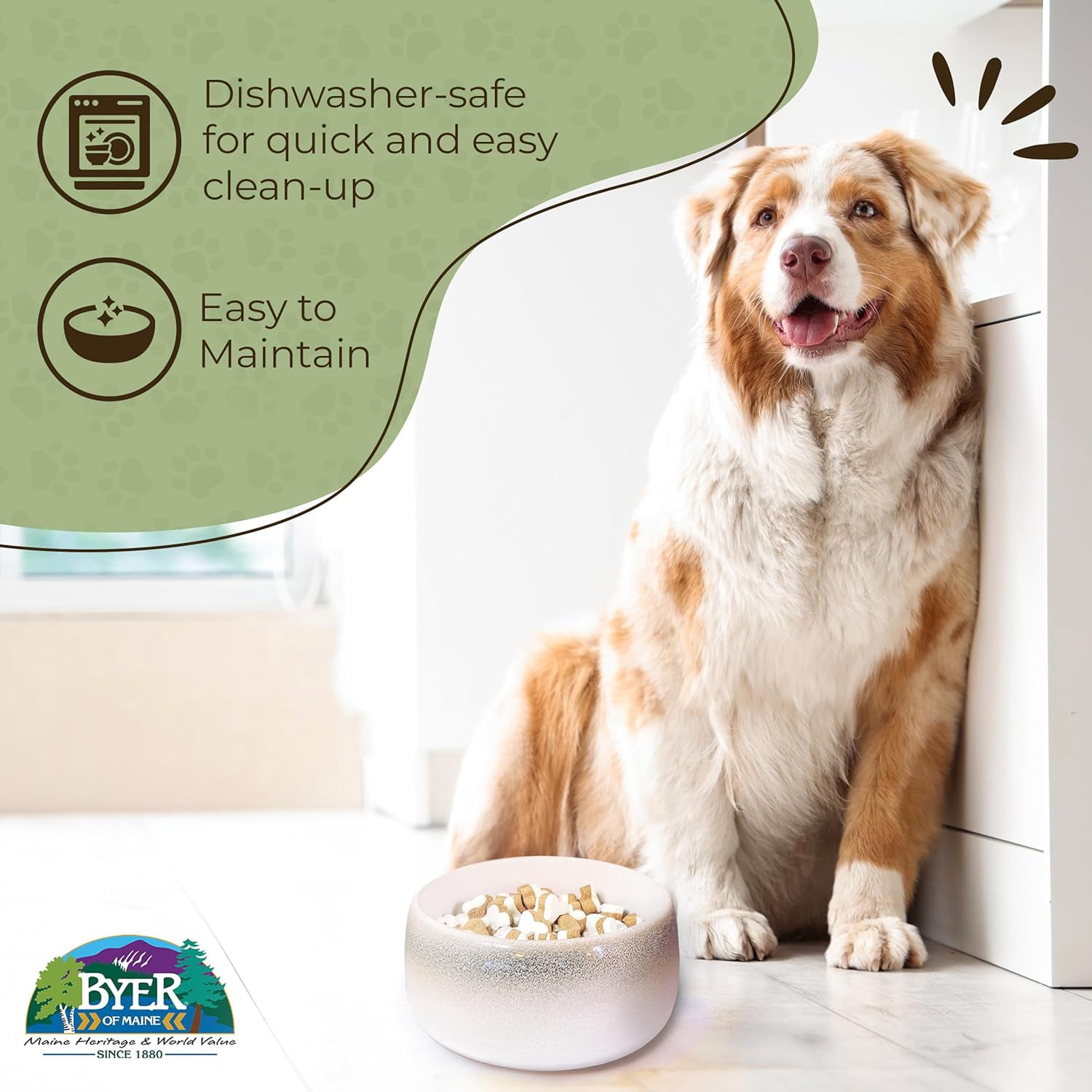 JFTER Pet Bowl – High-Fired Porcelain Stoneware, Food-Grade Safe, Dishwasher Safe, Non-Slip Dog Bowl for Large Breeds in Biscuit
