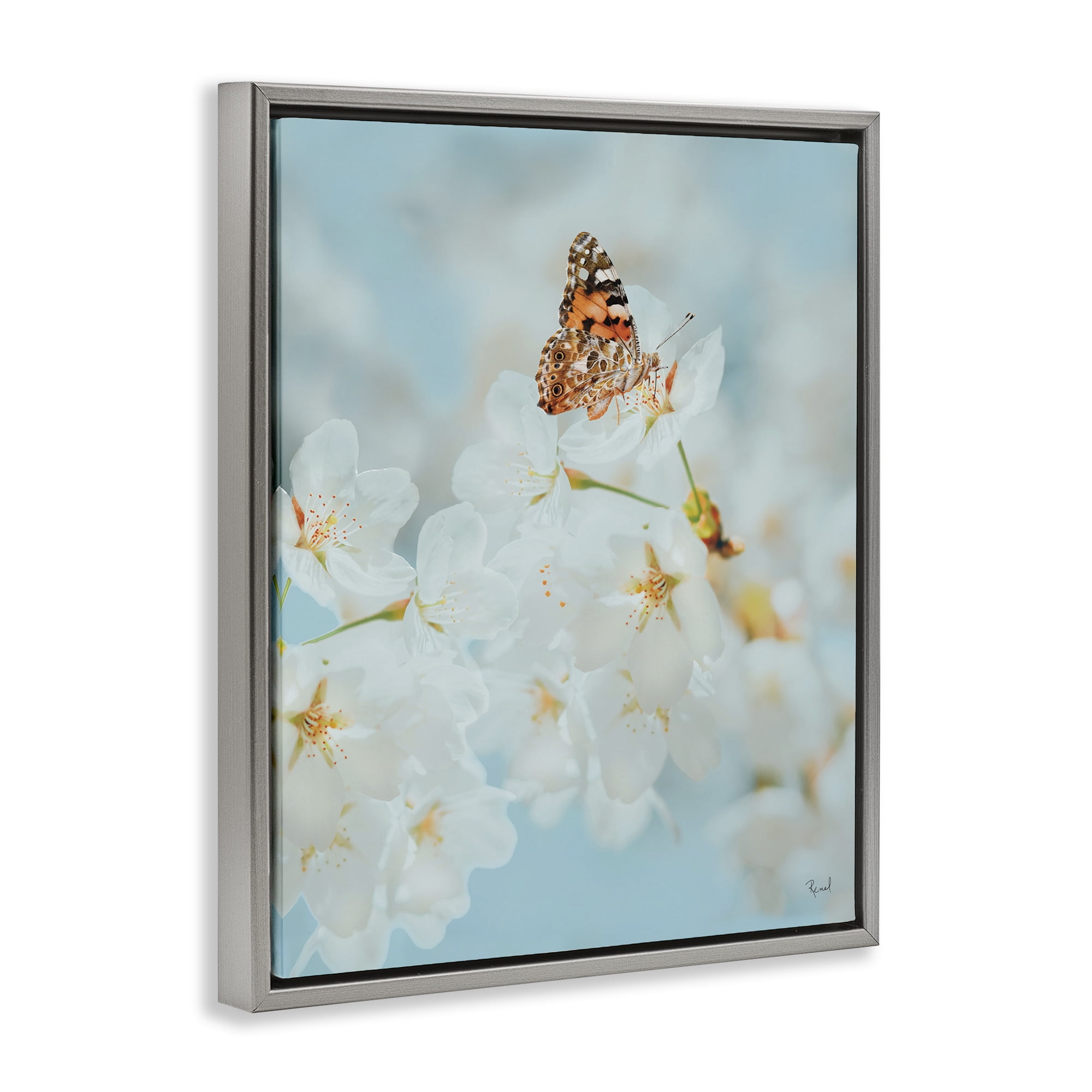 Stupell Industries Pale Blossoms & Butterfly Animals & Insects Photography Gray Floater Framed Art Print Wall Art, 25 x 31