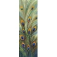 thumbnail image 2 of PI Studio 11x24 Black Ornate Wood Framed with Double Matting Museum Art Print Titled - Peacock Tale, 2 of 4