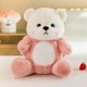 thumbnail image 3 of BR Tie Dyed Lily Little Bear transformado en fresa - Regalo perfecto para niños y muñecas, 3 of 5