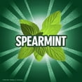 thumbnail image 5 of Eclipse Spearmint Chewing Gum Tear Pack, 18 Pieces, 8 Count, 5 of 6