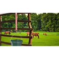 thumbnail image 2 of Guardoinrt Nylon Bucket Strap Adjustable Horse Pony Water Feed Tool Belt for Green 1Set, 2 of 6