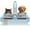 Blue, variant on PETT Pet hair removal tool - reusable for sofas, carpets, clothes, and car seats