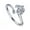 Aquarius-Silver, variant on Women's Stainless Steel Round Cubic Zirconia Simple 12 Constellations Adjustable Wrap Open Ring Silver Pisces
