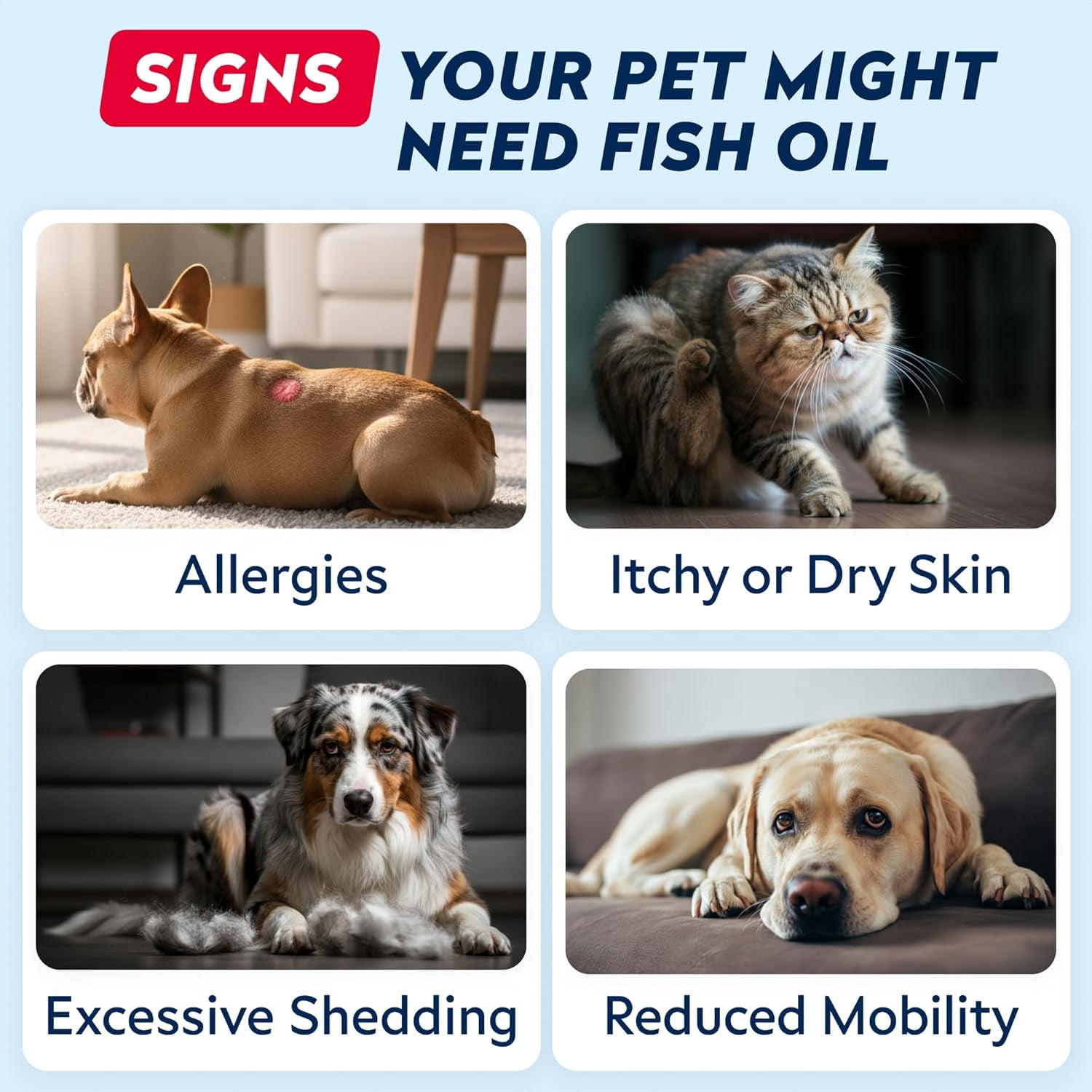 StrellaLab 32 OZ Salmon Oil for Dogs - Omega 3 Fish Oil for Dogs & Cats, Itch & Allergy Relief, Wild Alaskan Salmon Oil Dogs Skin & Coat, Dog Fish Oil Liquid,Shedding Support EPA&DHA Fatty Acids