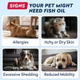 thumbnail image 6 of StrellaLab 32 OZ Salmon Oil for Dogs - Omega 3 Fish Oil for Dogs & Cats, Itch & Allergy Relief, Wild Alaskan Salmon Oil Dogs Skin & Coat, Dog Fish Oil Liquid,Shedding Support EPA&DHA Fatty Acids, 6 of 7