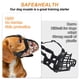 thumbnail image 5 of Bozal para Perro Pequeño a Prueba de Mordidas Diseño de Malla Transpirable Ajustable Color Naranja, 5 of 7