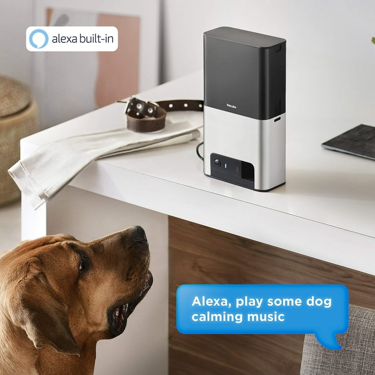 Petcube bites clearance 2