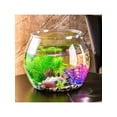 thumbnail image 3 of 1pc Round Plastic Transparent Fish Tank - Goldfish Tank Desktop Living Room Mini Aquarium Office View Tank Turtle Tank, 3 of 5