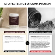 TrueFit High Fiber Protein Powder, Grass-Fed Whey Meal Replacement Shake with Prebiotics, Probiotics, Organic Superfoods, Keto Friendly, Gluten Free