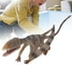 thumbnail image 1 of Modelo animal Jadeshay Juguete de dinosaurio PVC para niños, 1 of 12