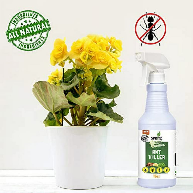 Spritz Ant Spray Indoor Plant Based Petsafe NonToxic