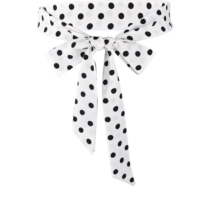 Zhengup Ceinture de Mariage en Satin pour Robe et Occasion Spaciale