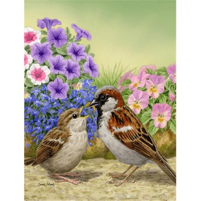 Carolines Treasures ASA2112CHF House Sparrows Flag Canvas House Size