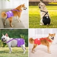 thumbnail image 3 of Pañales para perros Idepet lavables y reutilizables para mujer con tirante M, 3 of 6