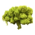 thumbnail image 1 of Artificial Green Moss Grass for Wall Decor - DIY Home Living Room Decorative Floral Accessory, 1 of 2