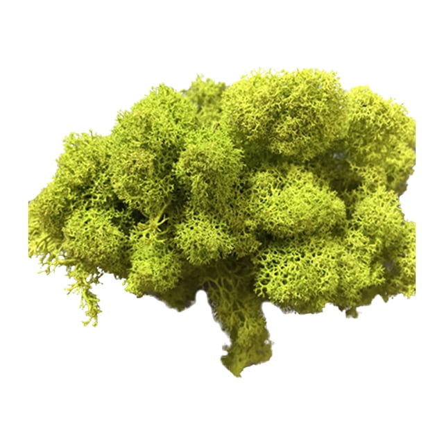 Artificial Green Moss Grass for Wall Decor - DIY Home Living Room Decorative Floral Accessory
