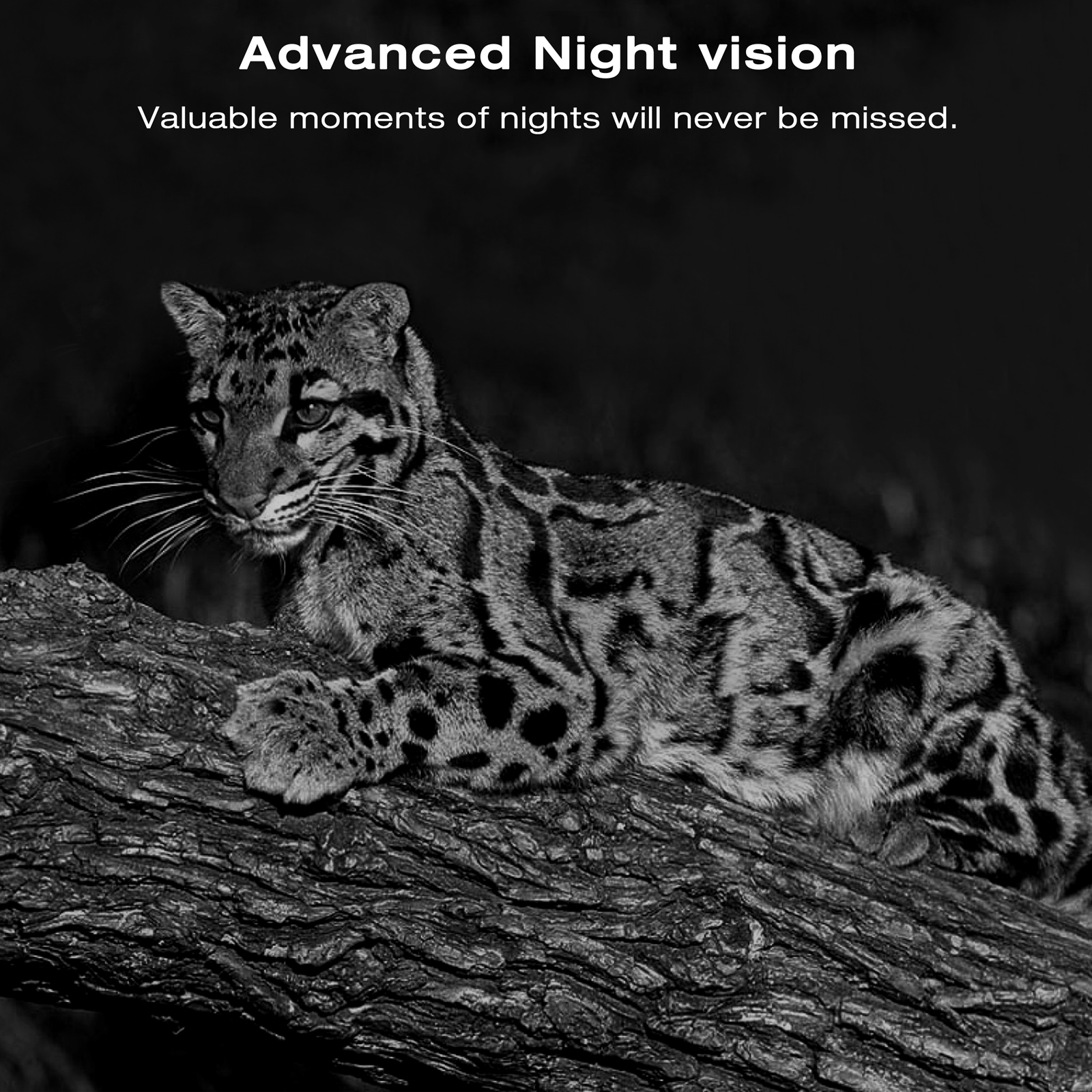 CAMPARK Solar Powered Trail Camera Native 4K 30fps WiFi Bluetooth 30MP Game Camera with Night Vision Waterproof IP66 Motion Activated 120° Wide Angle Hunting Deer Trail Cam for Wildlife Monitoring