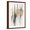 Brown Frame, variant on Art.com Falling Gold Leaf I Art Print by Studio W, 12" x 18"