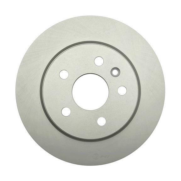 Raybestos 580769FZN Rust Prevention Technology Coated Rotor Brake Rotor, 1 Pack