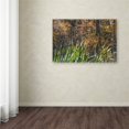 thumbnail image 2 of Trademark Fine Art "November's Colors at Pond's Edge" Canvas Art by Kurt Shaffer, 2 of 2
