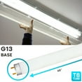 thumbnail image 3 of Luxrite F32T8/835 32W 48 Inch T8 Fluorescent Tube Light Bulb, 3500K Natural White, 2800 Lumens, G13 Medium Bi-Pin Base, LR20740, 12-Pack, 3 of 4