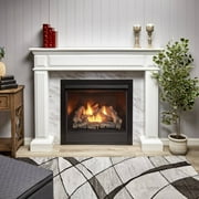 Duluth Forge Liquid Propane Ventless Gas Fireplace Insert - 32,000 BTU, Remote Control - Model# FLI32R