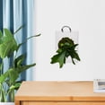thumbnail image 4 of unbranded Jardinera Colgante De Pared Acrílica Resistente Para En Interiores Y Oficinas, 4 of 8