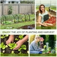 thumbnail image 4 of Outsunny Portable Tunneled Greenhouse with 3 Zippered Doors, PE Cover, 4 of 9