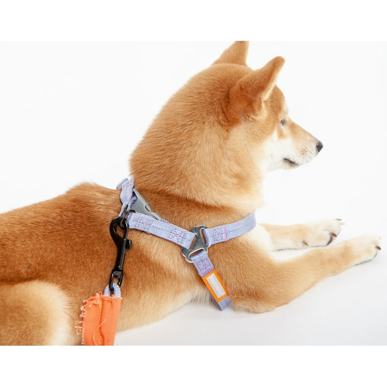Touchdog harness cheap