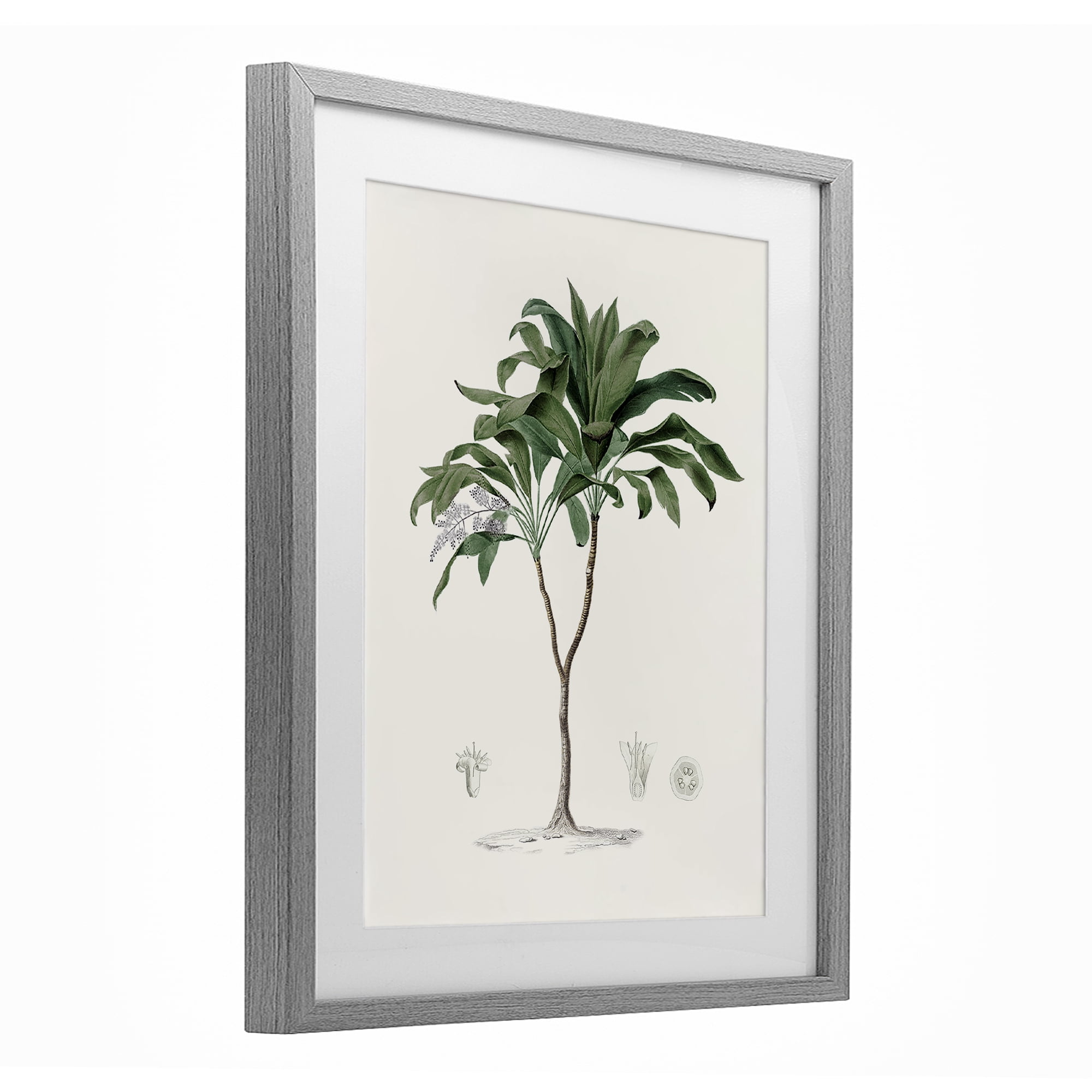 Stupell Industries Coastal Palms Vintage Gray Framed Print Under Glass, design by Val Rhodes