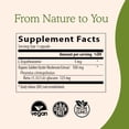 thumbnail image 2 of Real Mushrooms Ergo + L-Ergothioneine | 60 Servings | 60 Capsules, 2 of 3