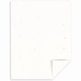 thumbnail image 3 of Astrobrights 22401 8.5 in. x 11 in. 65 lbs. Cover Weight Color Cardstock - Stardust Flecked White (250/Pack), 3 of 4