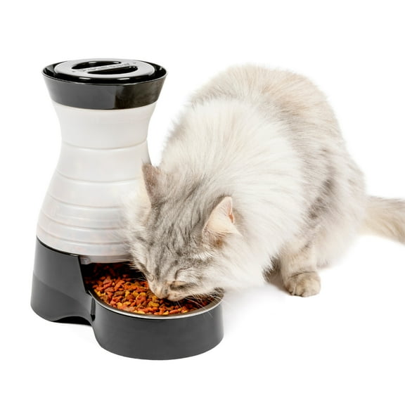 PetSafe Healthy Pet Food Station - Gravity Pet Feeder for Dogs and Cats - Stainless Steel Bowl Dry Kibble Dispenser