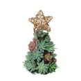 thumbnail image 1 of De Árbol De Navidad Con Estrella Luz Led Suculentas Artificiales Realistas Plantas Adorno De Escritorio Decoración De Navidad Regalos seitruly HA041334-08, 1 of 6
