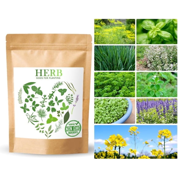 HJADGG 1000+ Herb Seeds Variety Pack 10 Individual Packs Non-GMO, Heirloom Seeds Planting for Outdoor or Indoor Hydroponic Herbs Garden Dill Basil Chives Thyme Parsley Oregano Cilantro Sage Mustard