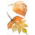 thumbnail image 2 of Loreth, Lanie 10x14 White Modern Wood Framed Museum Art Print Titled - Rustic Autumn Leaves II, 2 of 4